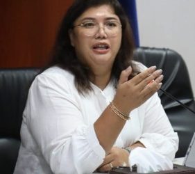 Kepala Biro Humas Promosi dan Protokol BP Batam Ariastuty Sirait
Foto: BP Batam