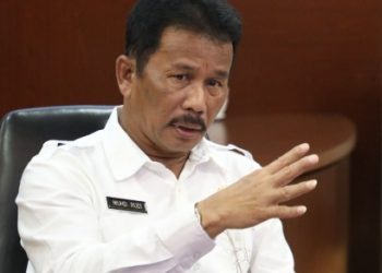 Muhammad Rudi, Kepala BP Batam
Foto: BP Batam