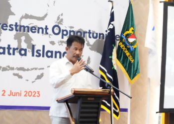 Kepala BP Batam Promosikan Investasi di Kota Batam
Foto: BP Batam