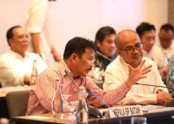 BP Batam Sampaikan Sasaran Strategis 2024 Dalam Konsinyering Komisi VI DPR RI