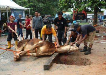 Idul Adha BP Batam Gelar Penyembelihan Hewan Qurban