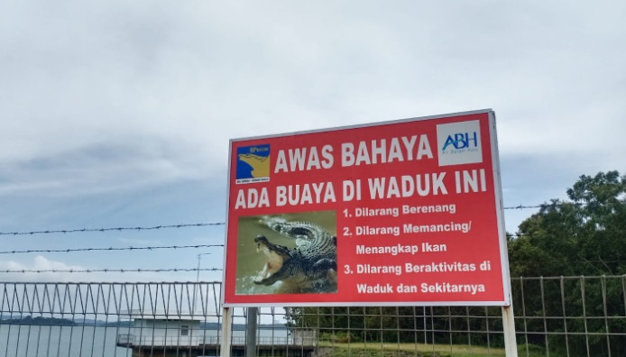 Awas Ada Buaya di Waduk