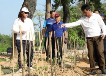 Wujudkan Batam Hijau dan Lestari BP Batam Tanam 1.800 Pohon Jati Mas