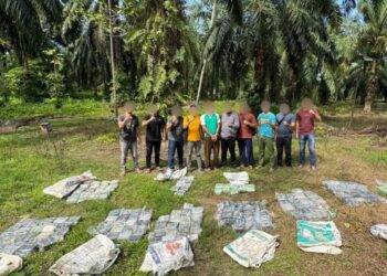 Tim gabungan Bea Cukai dan Polri yang terdiri dari Kantor Wilayah (Kanwil) Direktorat Jenderal Bea dan Cukai (Bea Cukai) Aceh, Direktorat Interdiksi Narkotika Bea Cukai, Kantor Pengawasan dan Pelayanan Bea dan Cukai (KPPBC) Tipe Madya Pabean (TMP) C Langsa, dan Tim Narcotic Investigation Center (NIC) Mabes Polri, berhasil mengungkap upaya penyelundupan narkotika jenis methamphetamine di Cinta Raja, Kecamatan Bendahara, Aceh Tamiang.
Foto: Humas BC