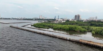 Progres Proyek Pembangunan Tanggul Pengaman Pantai NCICD Paket 2 Tembus 69%
(05/25)
Foto: Istimewa