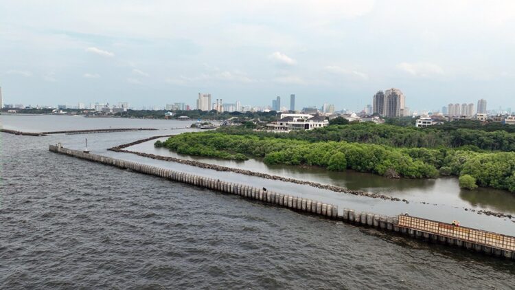 Progres Proyek Pembangunan Tanggul Pengaman Pantai NCICD Paket 2 Tembus 69%
(05/25)
Foto: Istimewa