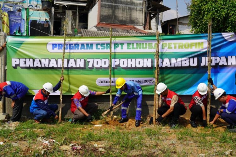 PT Elnusa Petrofin Hijaukan Jalur Distribusi Energi
Foto: Istimewa