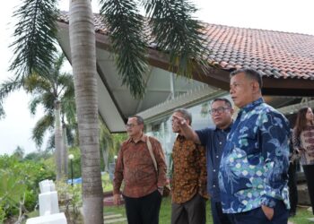 Kolaborasi Wamen UMKM, BP Batam, dan BRI Wujudkan Ekosistem UMKM Berdaya Saing
Foto: BP Batam