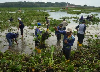 Dalam rangka menjaga kelestarian daerah tangkapan air, BP Batam mengadakan kegiatan gotong royong di waduk Duriangkang pada Sabtu (22/11/2025).
Foto: BP