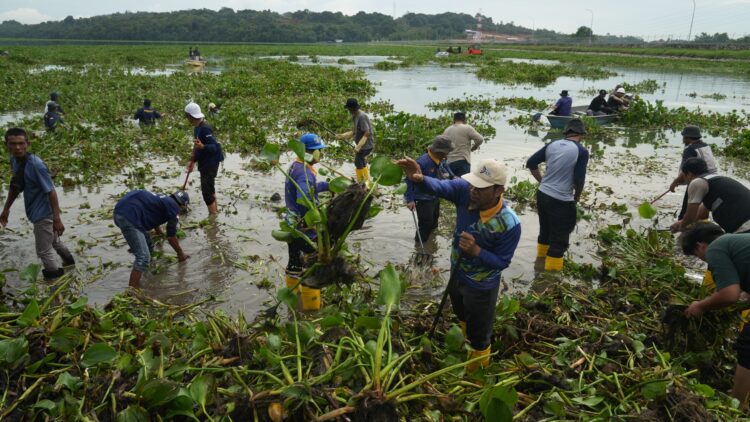 Dalam rangka menjaga kelestarian daerah tangkapan air, BP Batam mengadakan kegiatan gotong royong di waduk Duriangkang pada Sabtu (22/11/2025).
Foto: BP