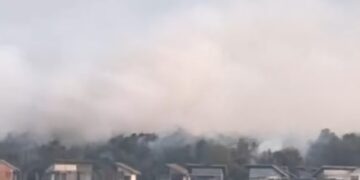 Kebakaran terjadi di Pulau Manis, Kecamatan Belakang Padang, pada Minggu (22/03/26), yang menghanguskan area hutan di sekitar pelantar dan dekat permukiman.
Foto: Istimewa