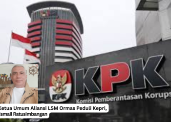 Ketua Umum Aliansi LSM Ormas Peduli Kepri, Ismail Ratusimbangan
Foto: beritabatam.co