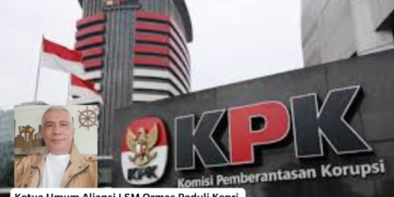 Ketua Umum Aliansi LSM Ormas Peduli Kepri, Ismail Ratusimbangan
Foto: beritabatam.co