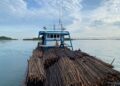 Upaya penyelundupan 12.000 batang kayu bakau ke Singapura digagalkan Ditpolairud Polda Kepri. KLM Citra Samudra 9 GT 99 diamankan di perairan Pulau Panjang, Batam, Rabu (22/04/26)
Foto: Polairud Polda Kepri