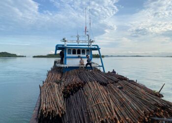 Upaya penyelundupan 12.000 batang kayu bakau ke Singapura digagalkan Ditpolairud Polda Kepri. KLM Citra Samudra 9 GT 99 diamankan di perairan Pulau Panjang, Batam, Rabu (22/04/26)
Foto: Polairud Polda Kepri