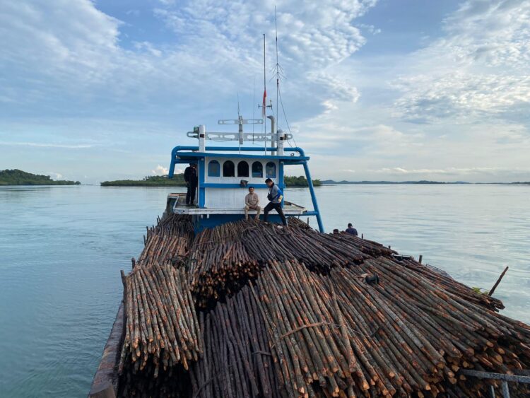 Upaya penyelundupan 12.000 batang kayu bakau ke Singapura digagalkan Ditpolairud Polda Kepri. KLM Citra Samudra 9 GT 99 diamankan di perairan Pulau Panjang, Batam, Rabu (22/04/26)
Foto: Polairud Polda Kepri
