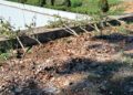 BP Batam melalui Anggota/Deputi Bidang Pelayanan Umum, Ariastuty Sirait, mengecam keras aksi perusakan puluhan tanaman bugenvil yang terjadi di sejumlah titik di Kota Batam, Selasa (19/05/26).
Foto: BP Batam