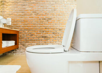 Main Ponsel di Toilet Terlalu Lama Bisa Picu Wasir, Ini Penjelasan Dokter
Foto: istimewa