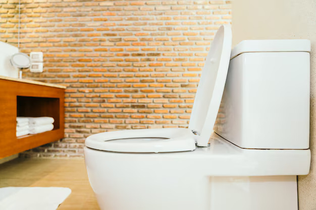 Main Ponsel di Toilet Terlalu Lama Bisa Picu Wasir, Ini Penjelasan Dokter
Foto: istimewa