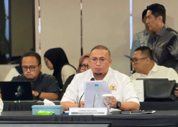 Wakil Ketua Komisi VI DPR RI dari Fraksi Partai Gerindra, Andre Rosiade. (04/09/26).
Foto: Istimewa