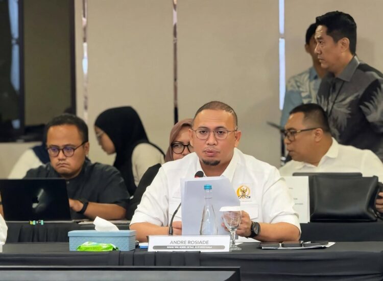 Wakil Ketua Komisi VI DPR RI dari Fraksi Partai Gerindra, Andre Rosiade. (04/09/26).
Foto: Istimewa
