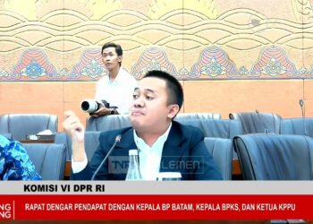 Anggota Komisi VI DPR RI, Mufti Aimah Nurul Anam
Foto: Istimewa