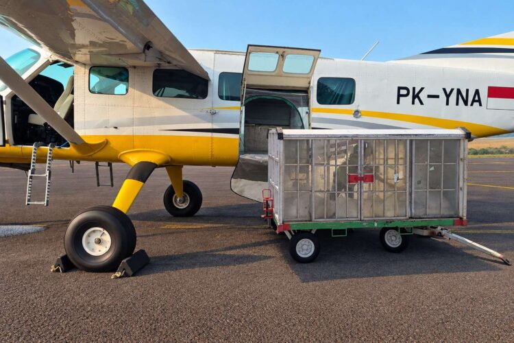 Badan Pengusahaan (BP) Batam menggandeng PT. Rekayasa Atmosfer Indonesia untuk melaksanakan Operasi Modifikasi Cuaca (OMC) di Kota Batam pada 26 Oktober hingga 2 November 2026.
Foto: BP Batam