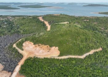 Foto udara kerusakan di kawasan Hutan Lindung Tanjung Piayu, Batam. F. Kementrian Kehutanan Republik Indonesia
Foto: Istimewa