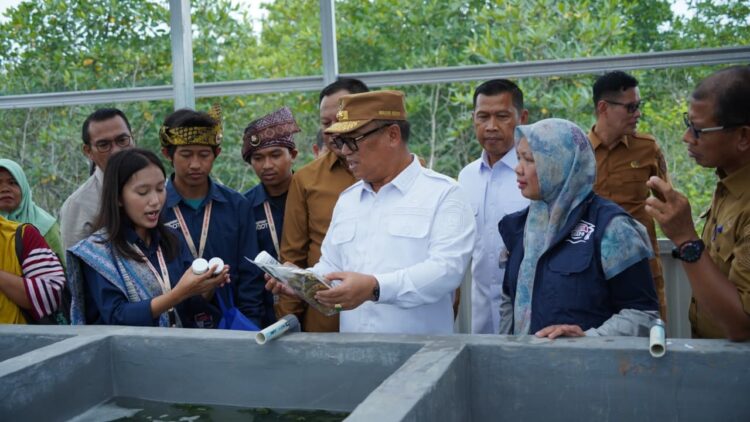 Wakil Gubernur Kepulauan Riau (Kepri), Nyanyang Haris Pratamura, meresmikan Rumah Budidaya Rumput Laut di Kelurahan Sembulang, Kecamatan Galang, Kota Batam, Senin (26/10/26).
Foto: kepriprov.go.id